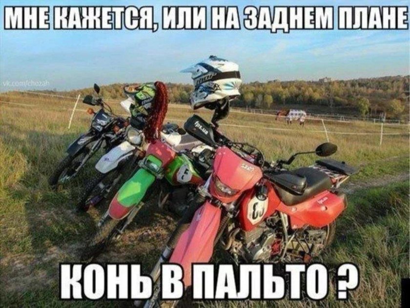 Смешные мотоциклы