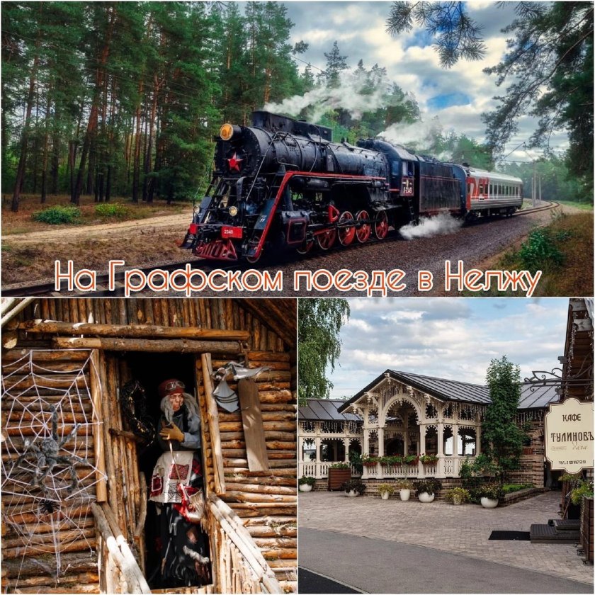 Поезд в Нелжу