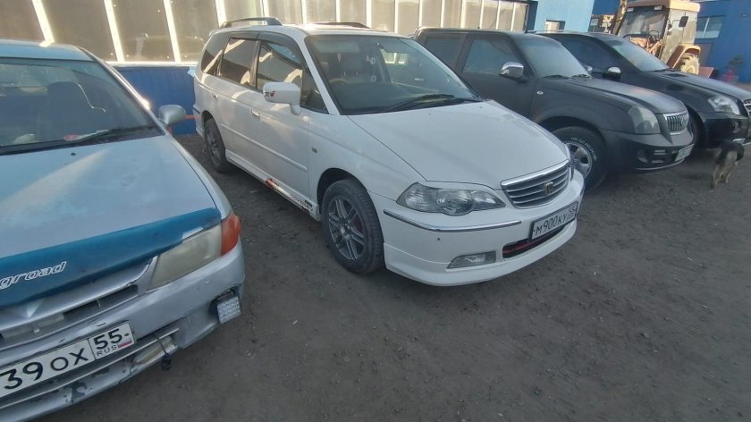 Хонда Одиссей белый 2002