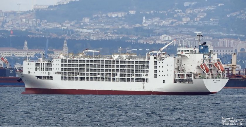 Скотовоз судно