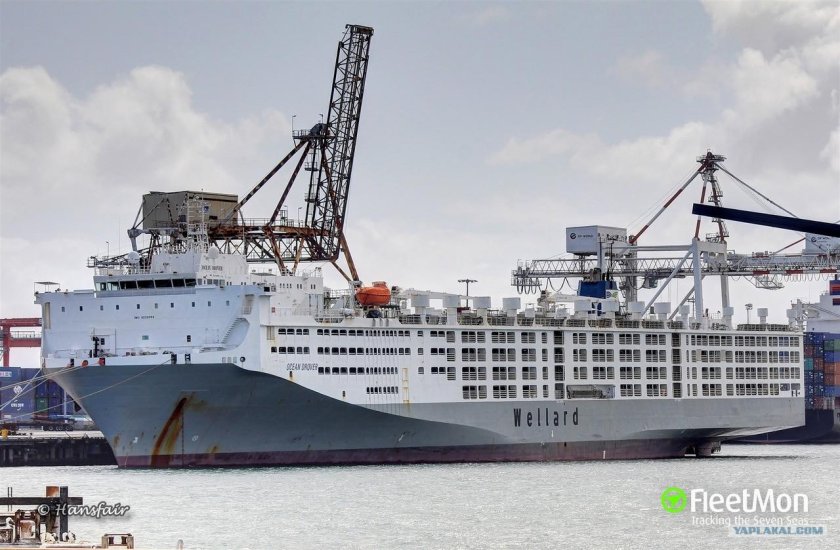 Ocean Drover IMO 9232852