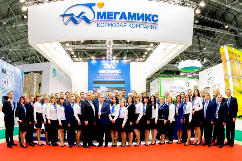 ООО мегамикс