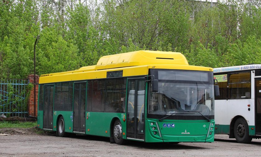 Новые автобусы маз