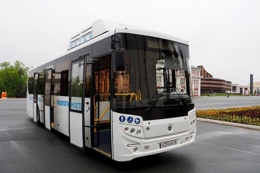 Новые автобусы