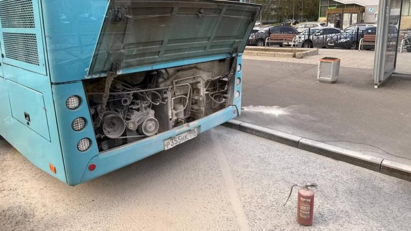 Автобус санкт петербург