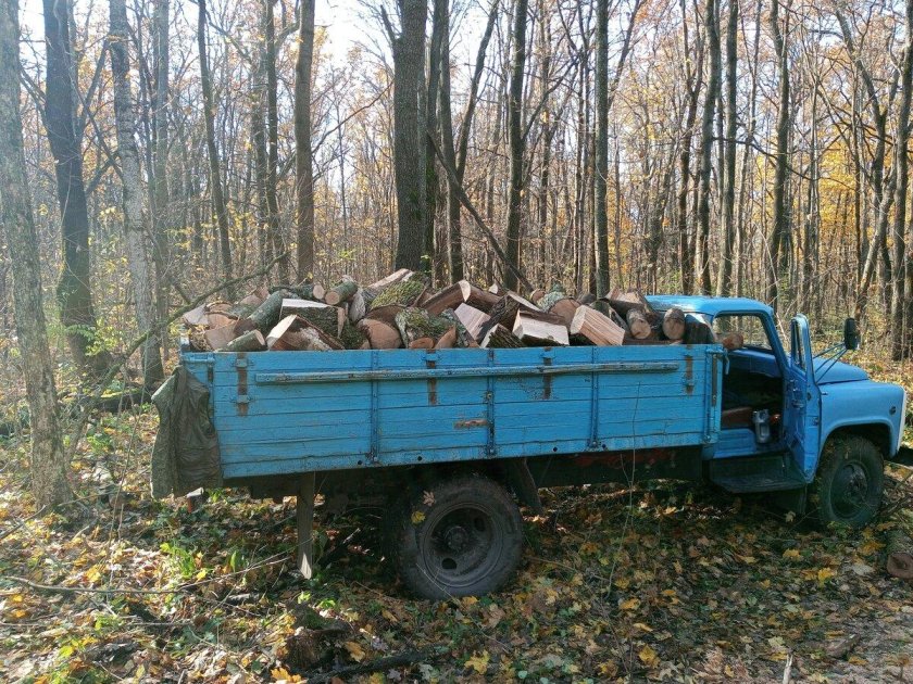 Газ 3307 с дровами