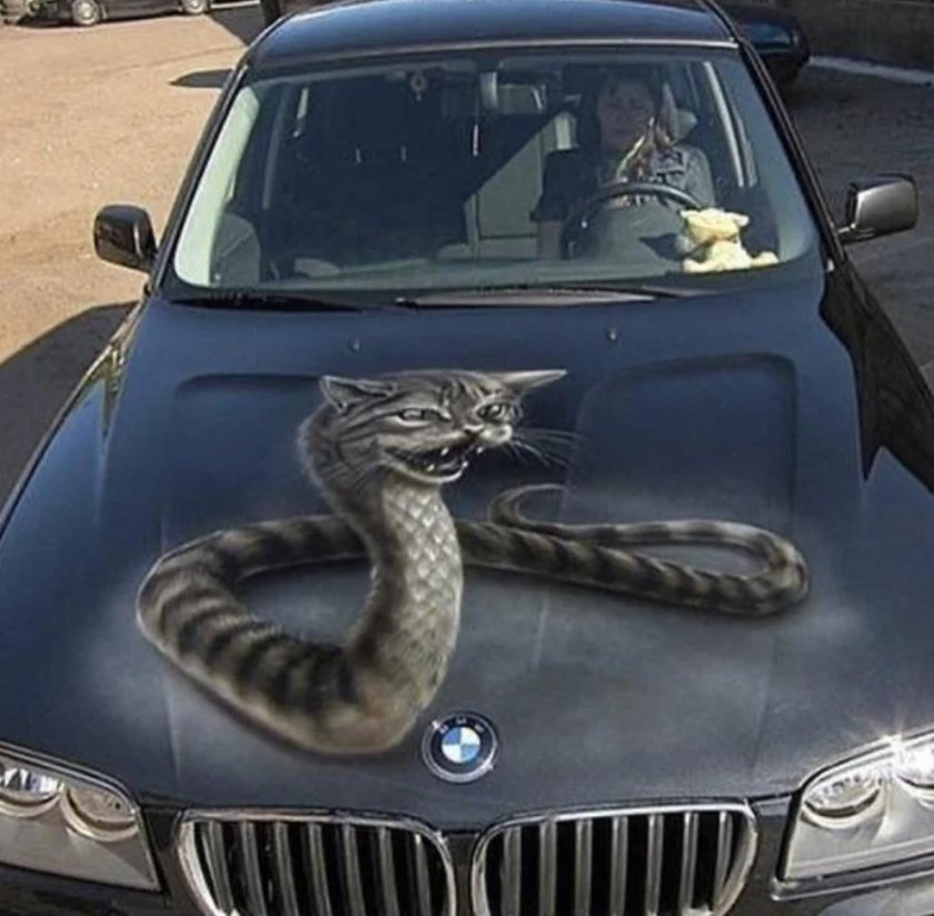 БМВ пантера