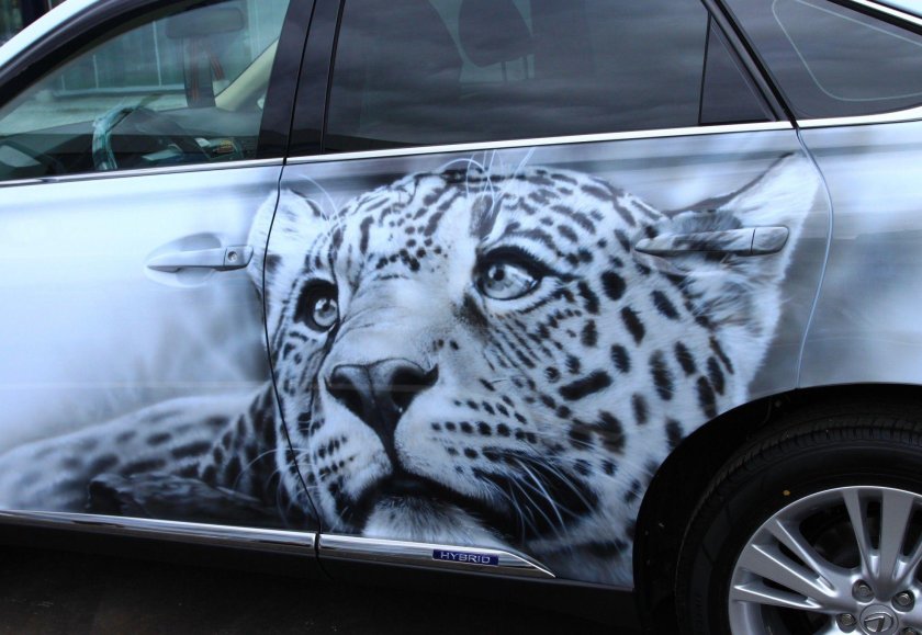 Мартин Хенгс аэрография