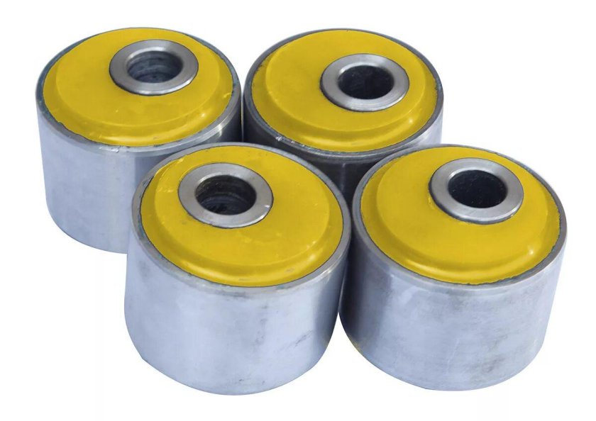 Кастор кит риф