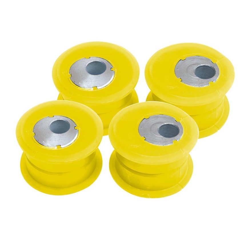 Кастор кит риф