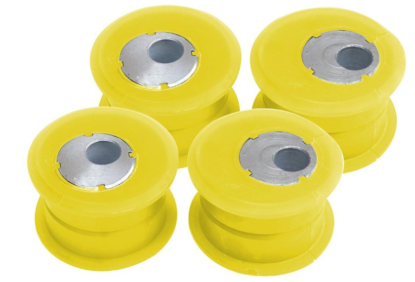 Кастор кит риф