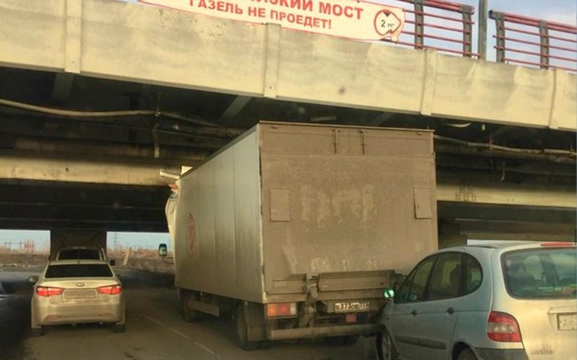 Мост газелей в Питере