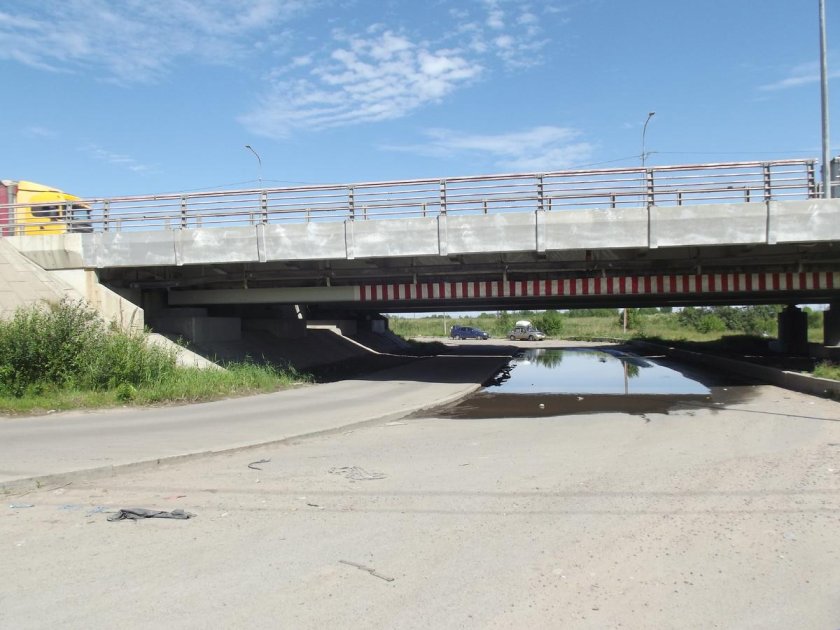 Мост глупости в санкт-петербурге на софийской