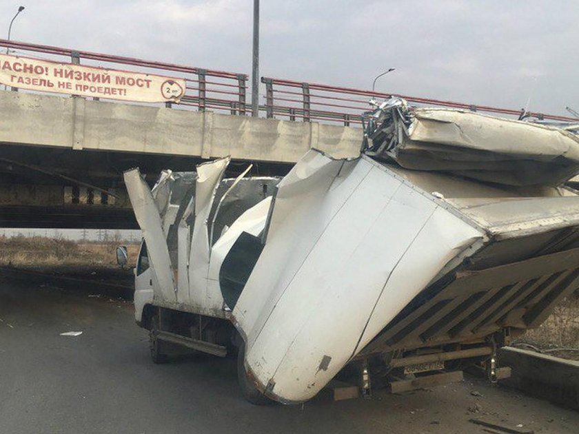 Мост газелей в Питере