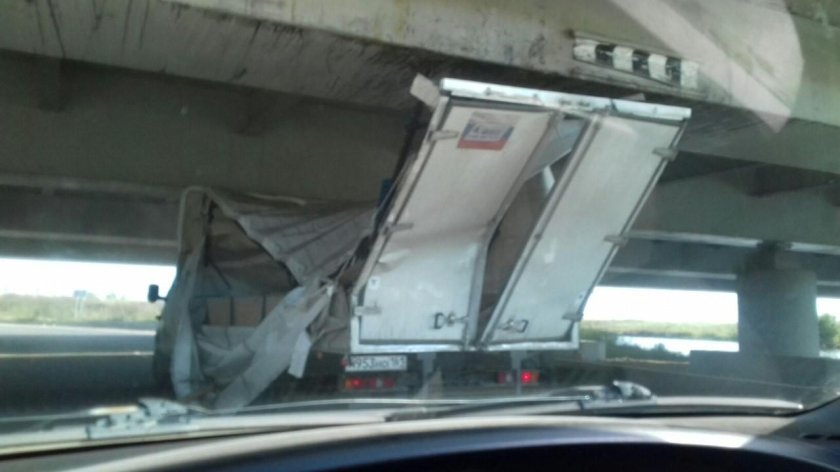 Мост глупости в Санкт-Петербурге