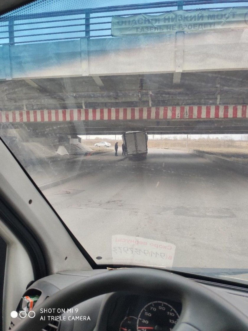 Мост глупости в Санкт-Петербурге