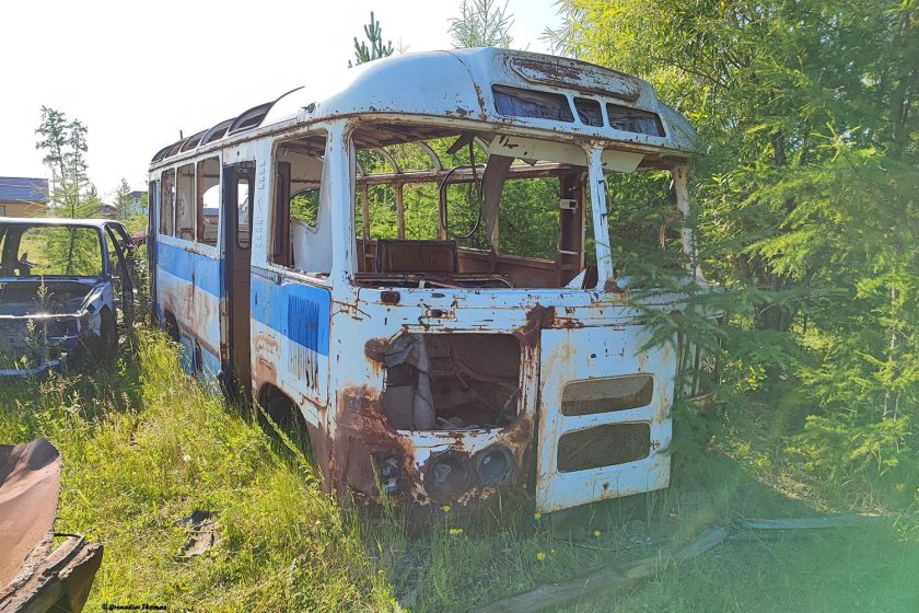 Автобус фото