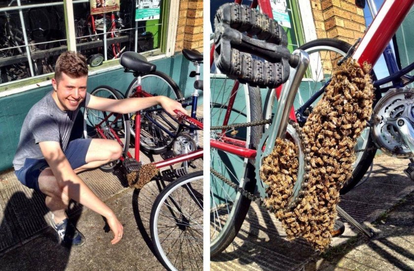 Прикольные велосипеды