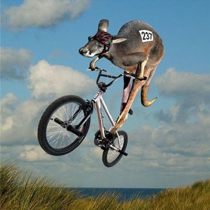 Прикольные велосипеды