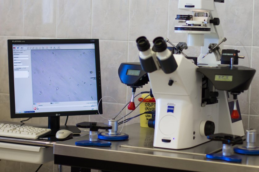 ВРТ эко Мариинская больница Иванов