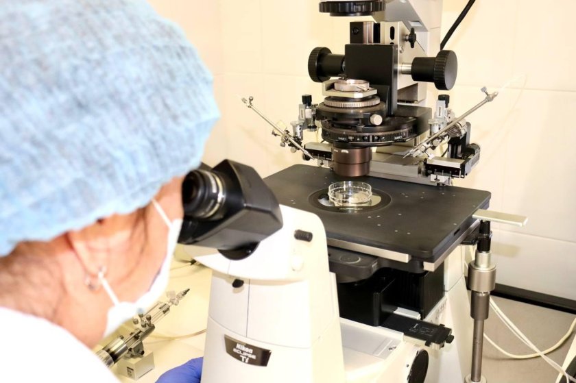 Процедура эко