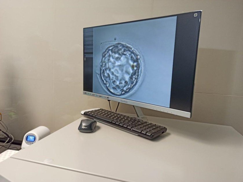 Эко процедура