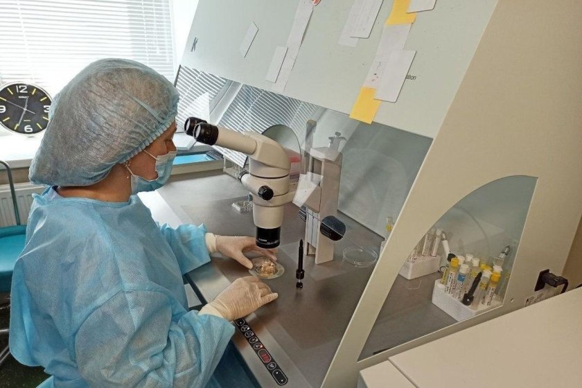 Репродуктивные технологии