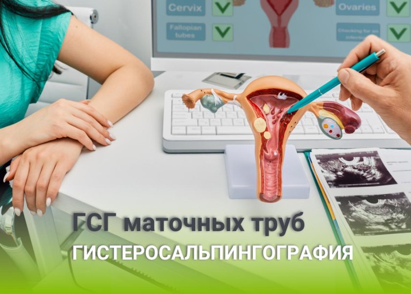 Гинекология анатомия