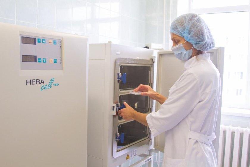 Стоимость эко в Кирове