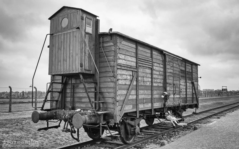 Концлагерь биркенау освенцим 2