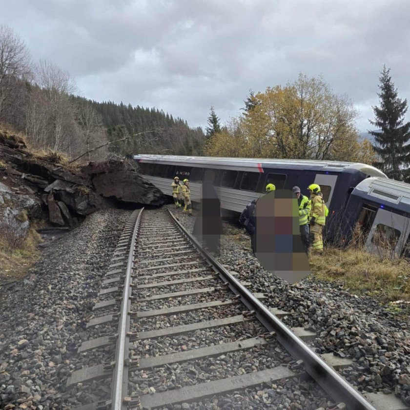 Поезд сошел с рельс