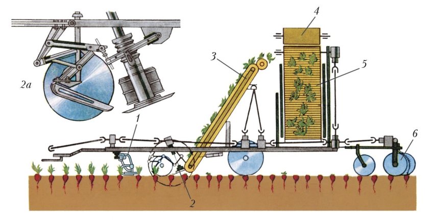 Ботвоуборочная машина БМ-6б