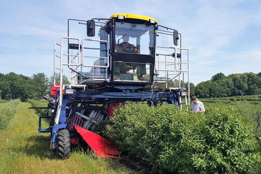 Ягодоуборочный комбайн