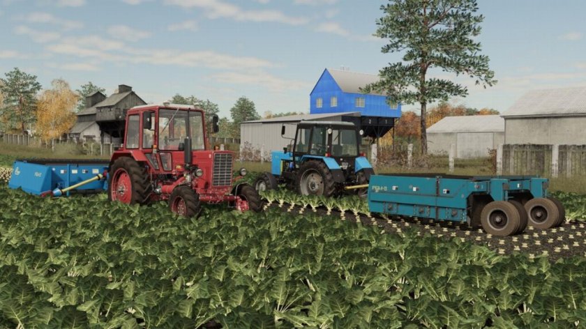 Ботвоудалитель РБМ 6