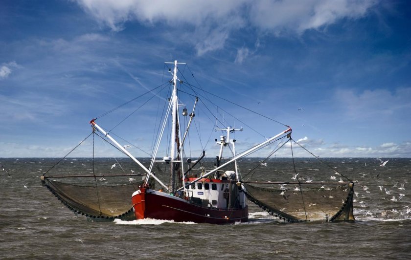 Рыболовный траулер трал