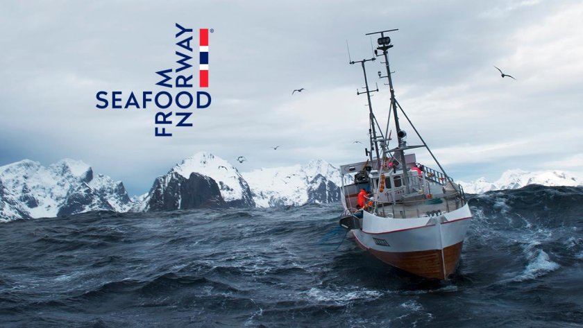 Сейнер Баренцево море