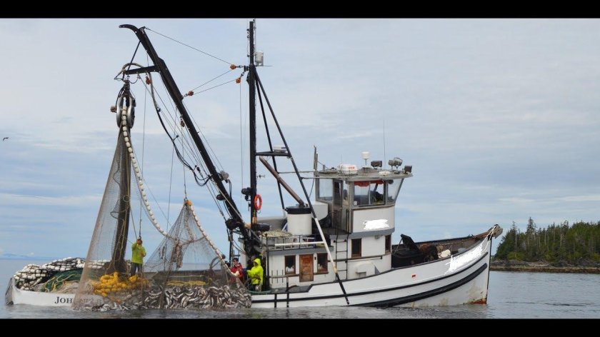 Малый рыболовный сейнер-траулер (МРС-150)