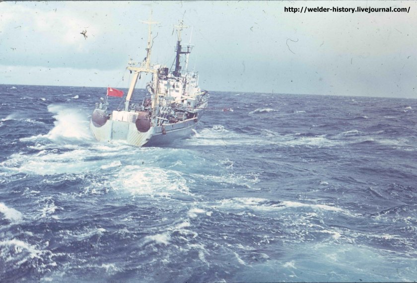 Стр 420 (сейнер-траулер рефрижераторный)