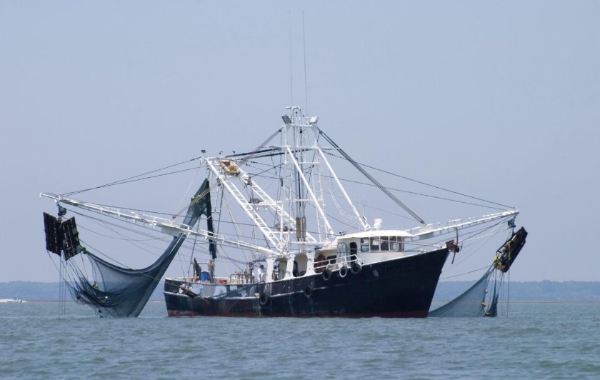 Рыболовное судно (Fishing Vessel)