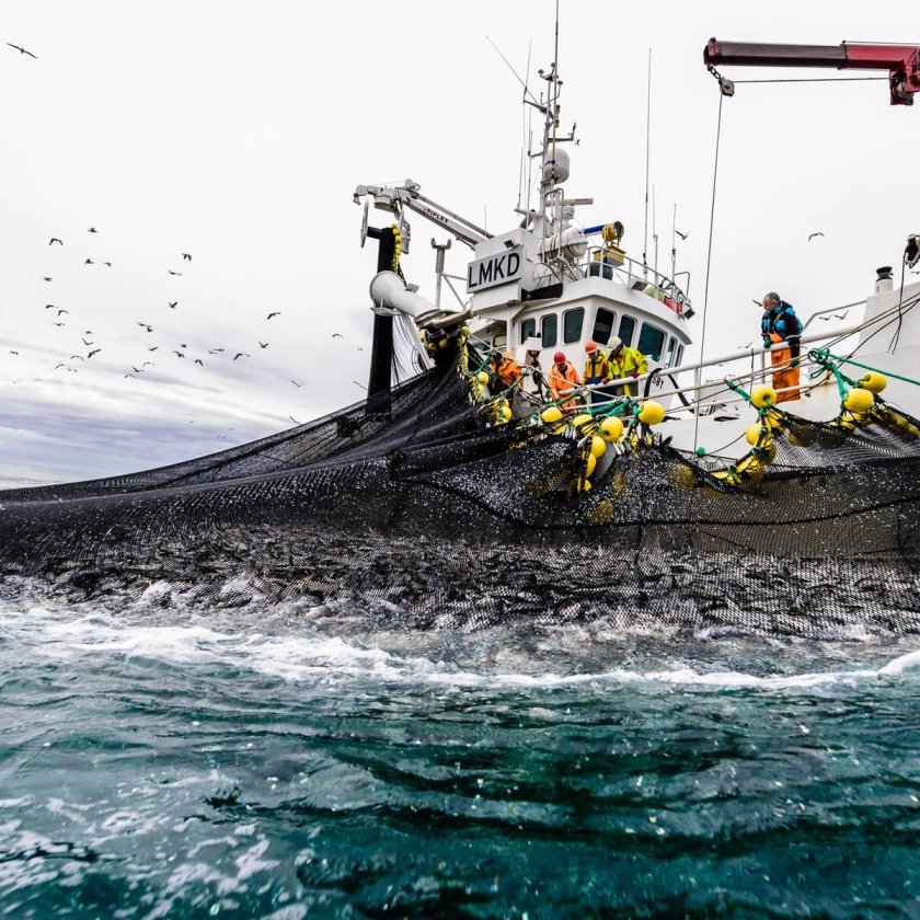 Хозяйственная деятельность Атлантического океана