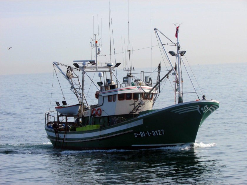 Сейнер Линда