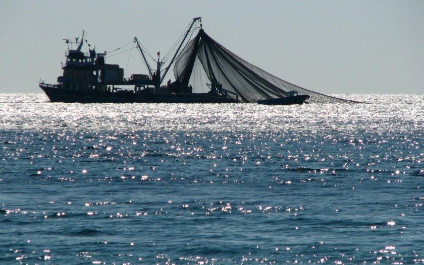 Рыболовный траулер трал