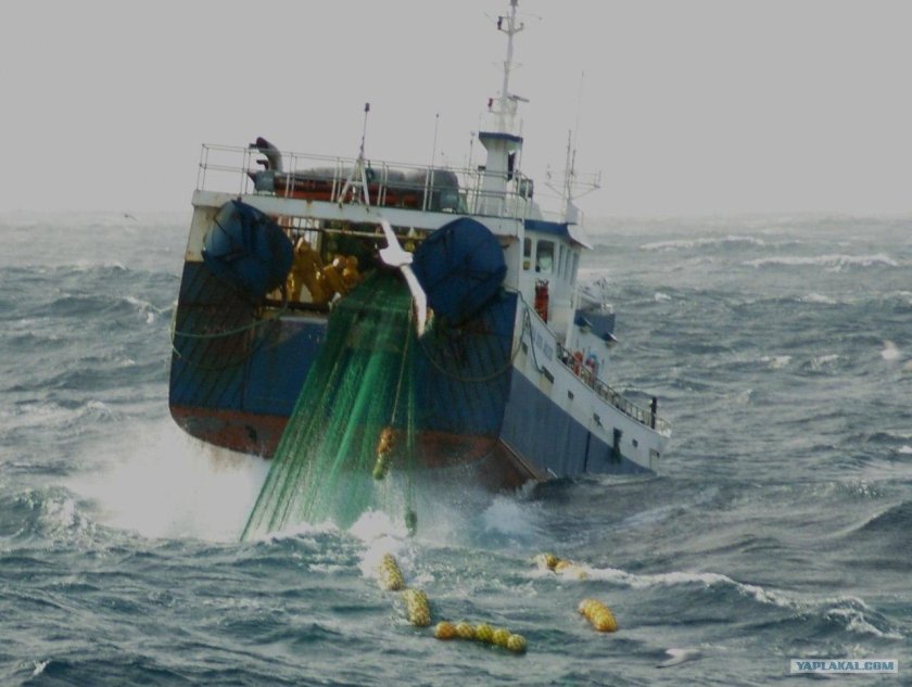 Капитан Вдовиченко траулер