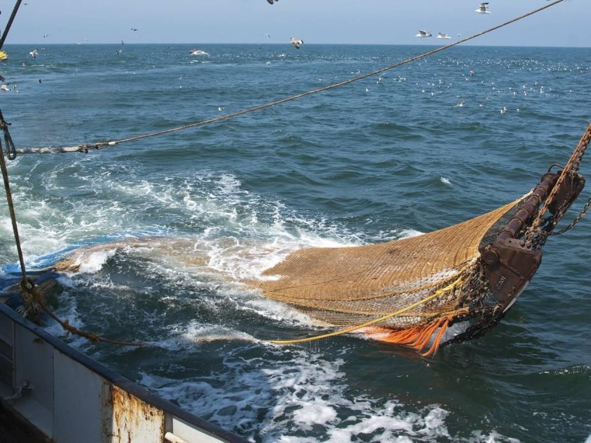 Трал 520 рыболовецкий