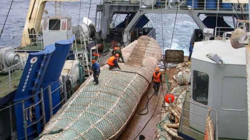 Рыболовный траулер трал