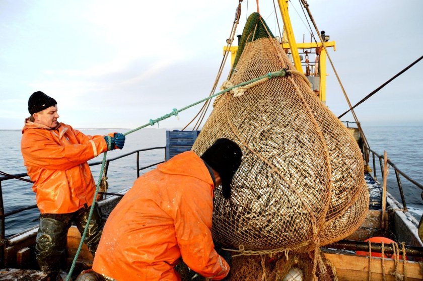 Трал 520 рыболовецкий