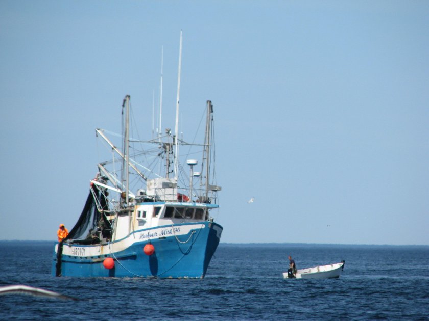 Маломерный рыболовный сейнер-траулер рефрижераторный СЧС-225