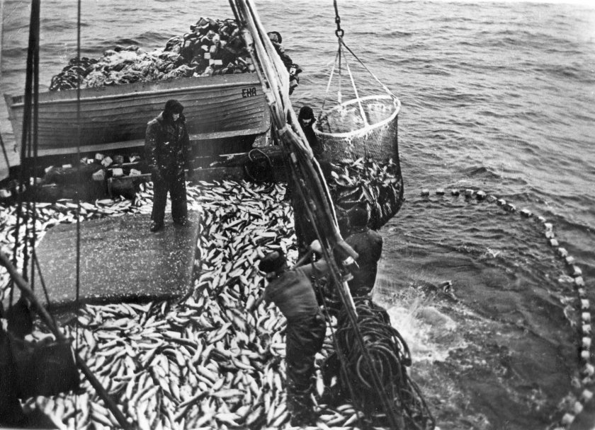 Рыбная промышленность СССР