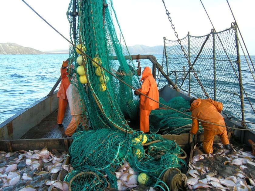 Трал 520 рыболовецкий