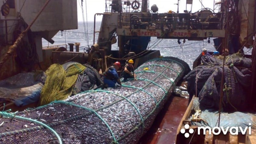 Рыболовный траулер трал